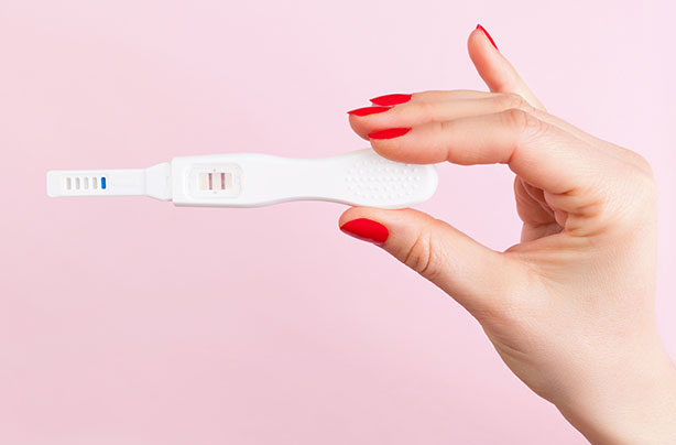 Ovulation Ovulation