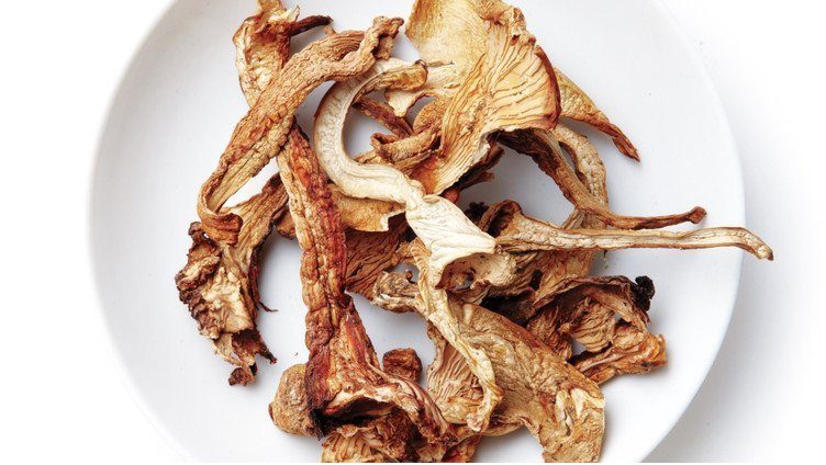 mushrooms mushrooms
