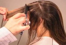 Front Layered Haircuts for Long Hair Haircuts for Long Hair