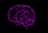 acetylcholine