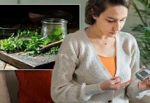 Halki diabetes remedy Halki diabetes remedy