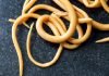 Roundworms are what type of biohazard