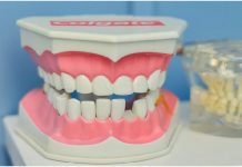 At Home Dental Care Tips for You and Your Family Dental Care